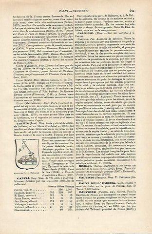 LAMINA ESPASA 14737: Escudo de Calvia Baleares
