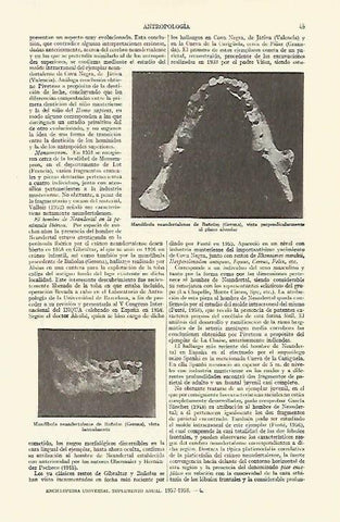 LAMINA ESPASA 14829: Mandibula neandertalense de Banyoles (Girona)