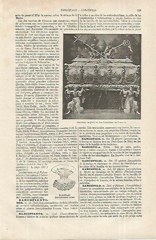 LAMINA ESPASA 12362: Sarcofago de San Estalisnao en Cracovia Polonia