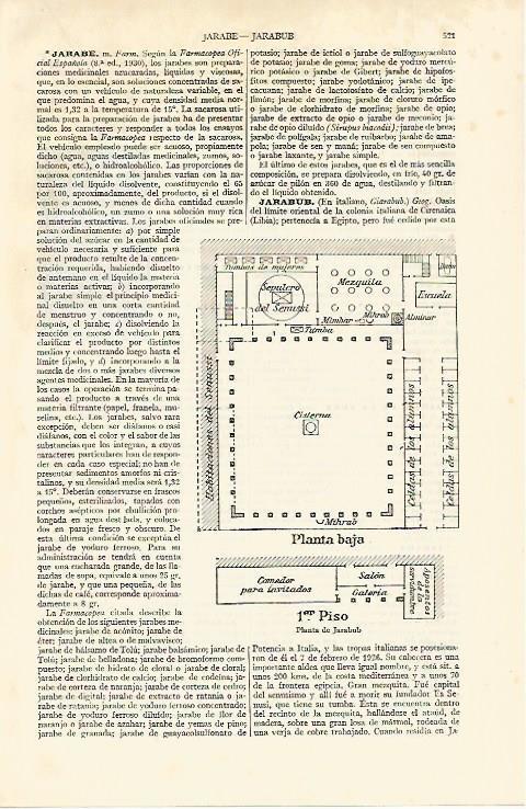 LAMINA ESPASA 19730: Planta de Jarabub Libia