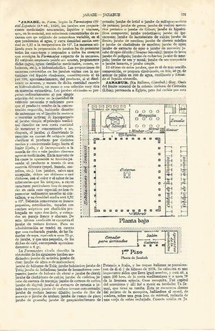 LAMINA ESPASA 19730: Planta de Jarabub Libia