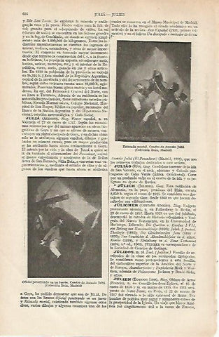 LAMINA ESPASA 19767: Estocada mortal por A. Julia