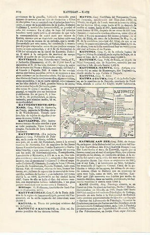 LAMINA ESPASA 21162: Plano de Kattowitz Polonia