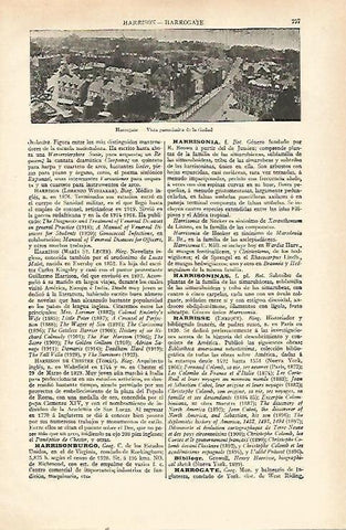 LAMINA ESPASA 21581: Vista de Harrogate Inglaterra