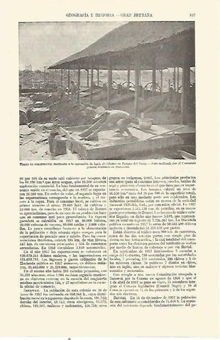 LAMINA ESPASA 21752: Planta en construccion en borneo del Norte