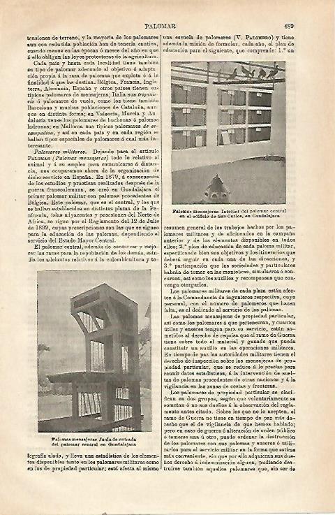LAMINA ESPASA 23497: Palomas mensajeras en Guadalajara