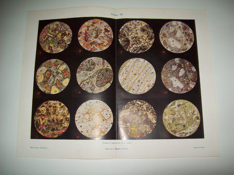 LAMINA ESPASA 6618: Tipos de rocas