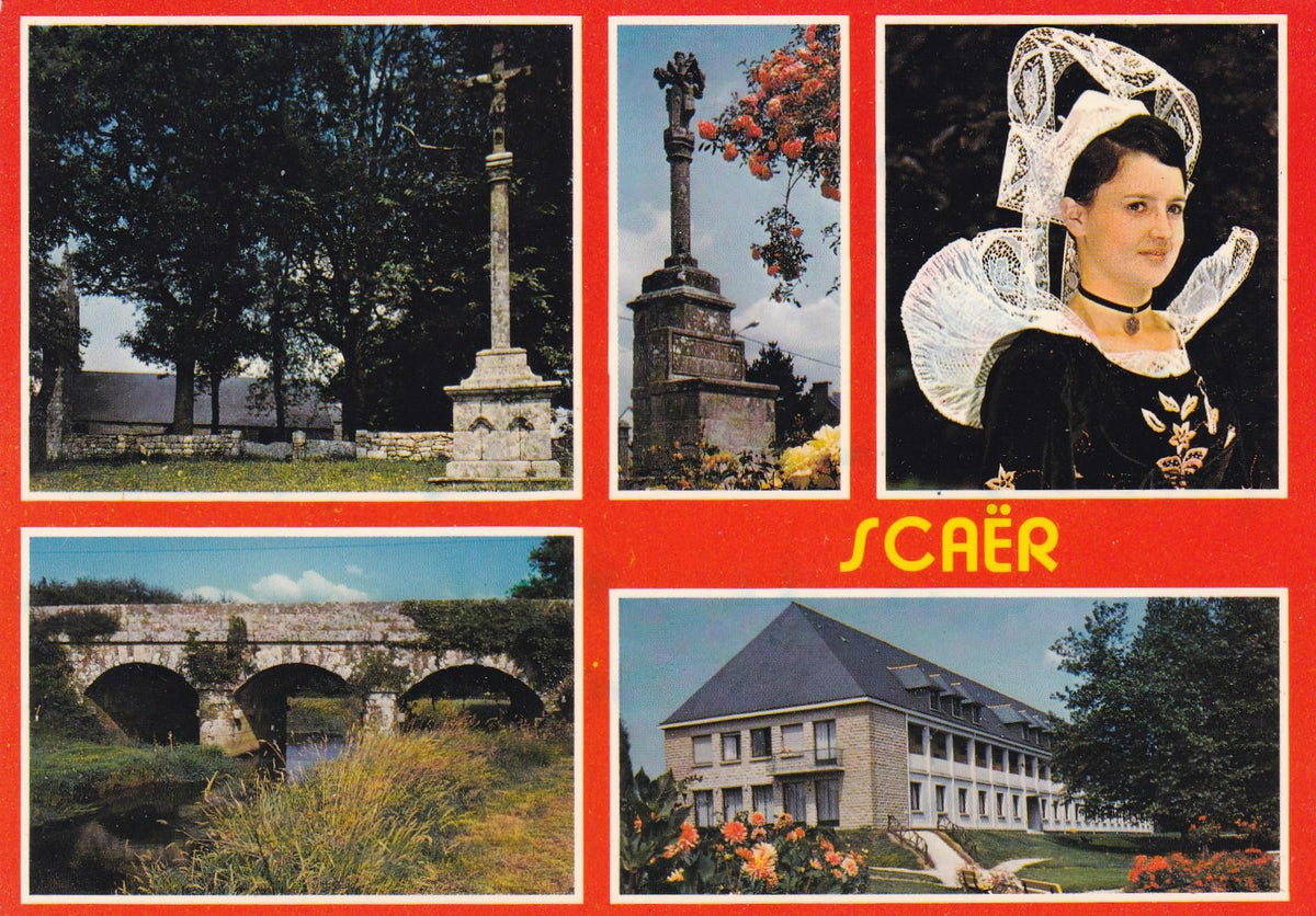 POSTAL 18925: Scaer