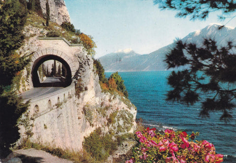 POSTAL 18980: Lago di Garda