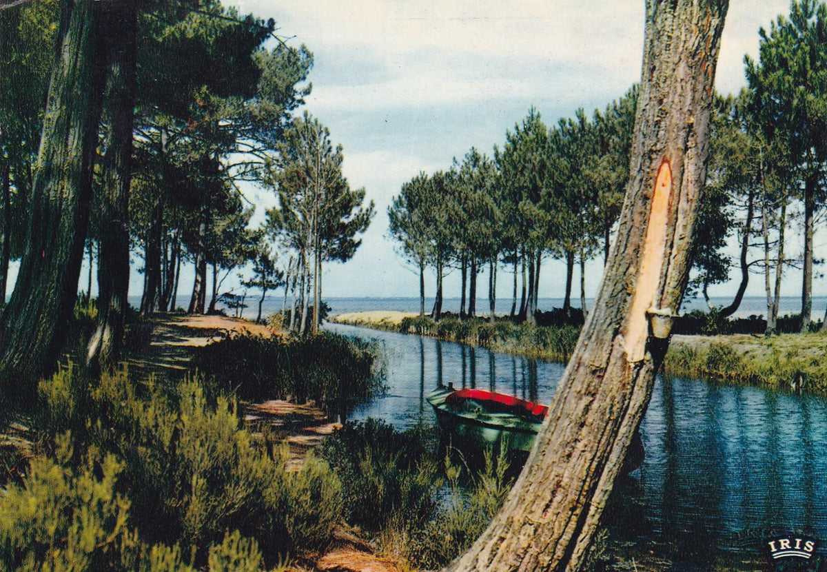 POSTAL 18983 Canal Landais