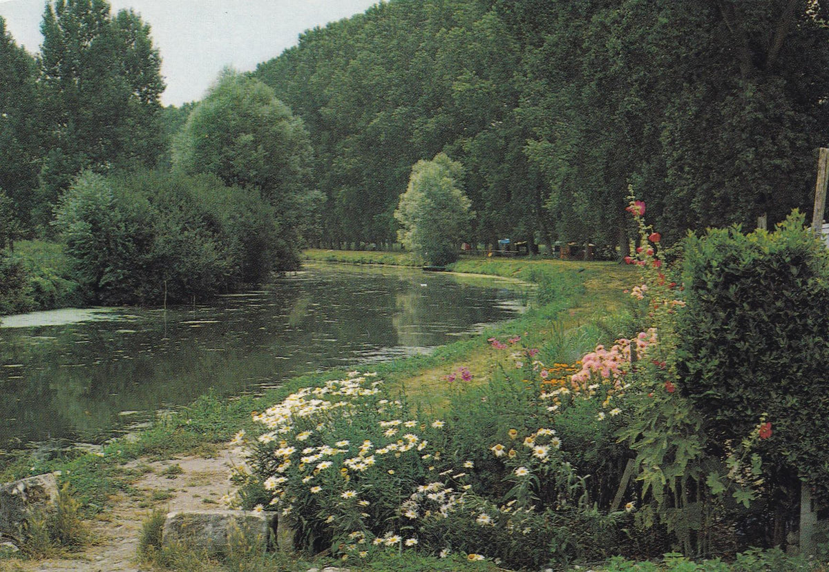 POSTAL 19003: Tonnay.Boutonne