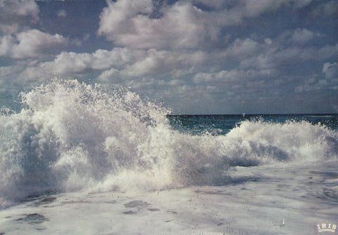 POSTAL 19013: Cote Atlantique
