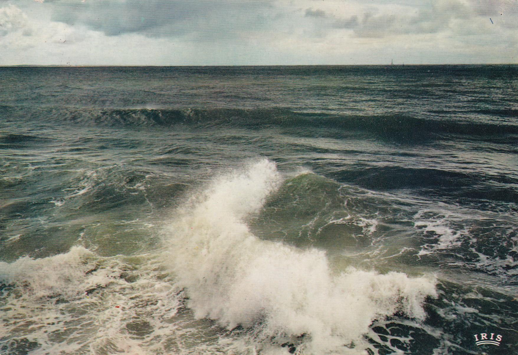 POSTAL 19014: Cote Atlantique