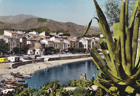 POSTAL 19078: Collioure