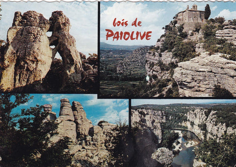 POSTAL 19109: Bois de Paiolive