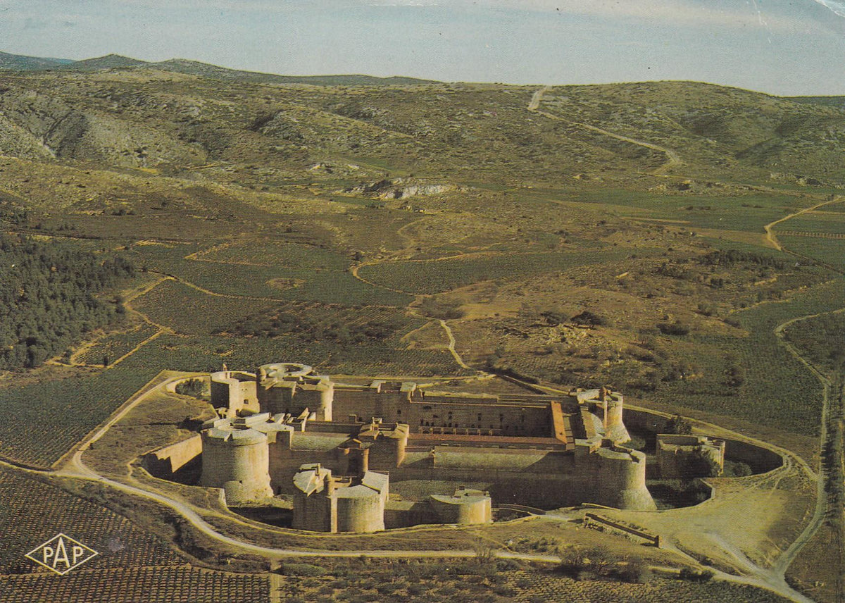 POSTAL 19118: Chateau de Salses
