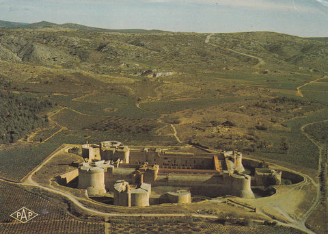 POSTAL 19118: Chateau de Salses