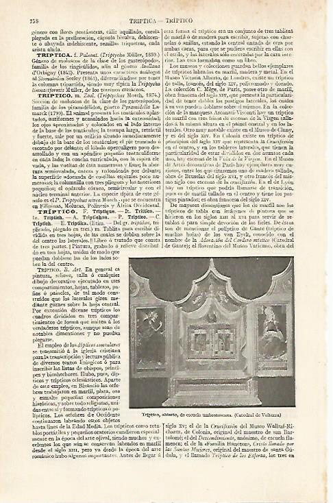 LAMINA ESPASA 20448: Triptico de la Catedral de Volterra