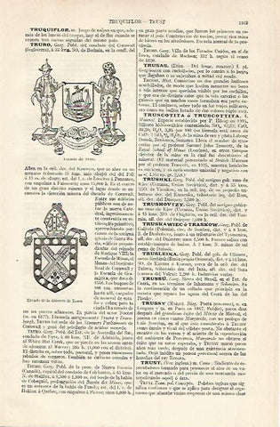 LAMINA ESPASA 20544: Escudo de Truro Inglaterra