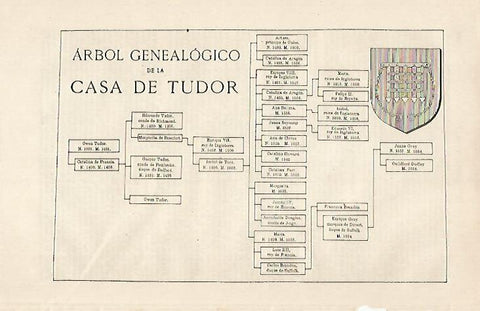 LAMINA ESPASA 20571: Arbol genealogico de la casa de Tudor