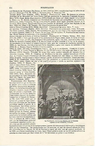 LAMINA ESPASA 20646: La Purificacion de Nuestra Señora por Il Veronese