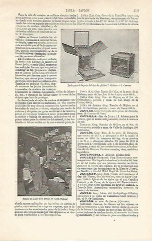 LAMINA ESPASA 20998: Jaula para pichon