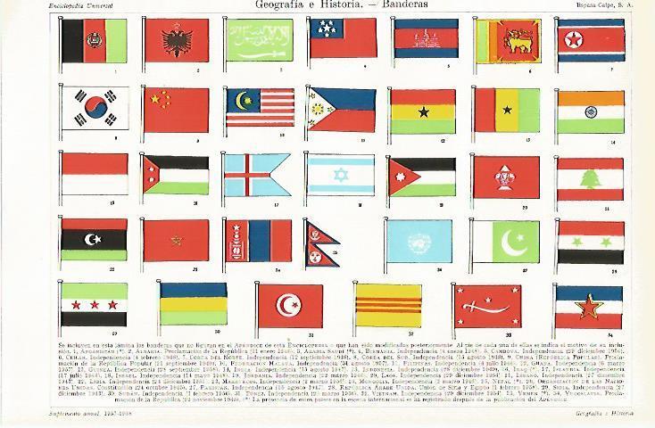 LAMINA ESPASA 21785: Banderas del mundo