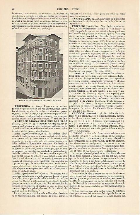 LAMINA ESPASA 22414: Banco de Roma en Trieste