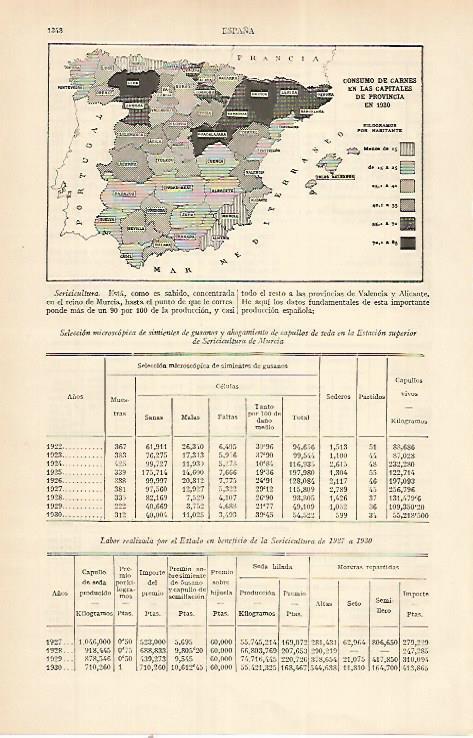 LAMINA ESPASA 22477: Consumo de carne en España en 1930