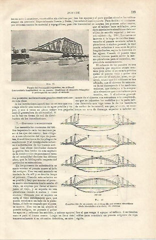 LAMINA ESPASA 23093: Puente Leopoldino en Brasil