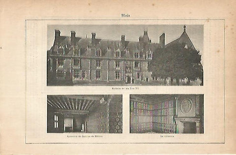LAMINA ESPASA 22317: Palacio de Blois