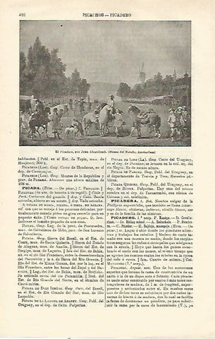 LAMINA ESPASA 23182: El picadero por J. Lingelbach