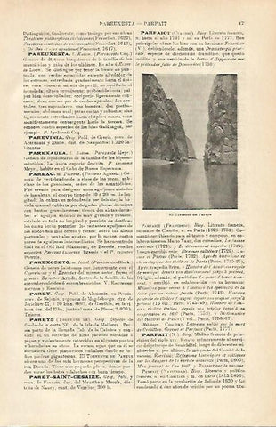 LAMINA ESPASA 23315: El torrente de Pareys Mallorca