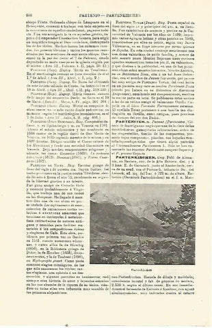 LAMINA ESPASA 23391: Partenkirchen