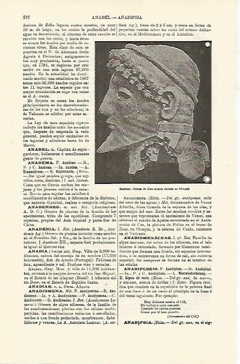 LAMINA ESPASA 23723: Anadema de Olimpia