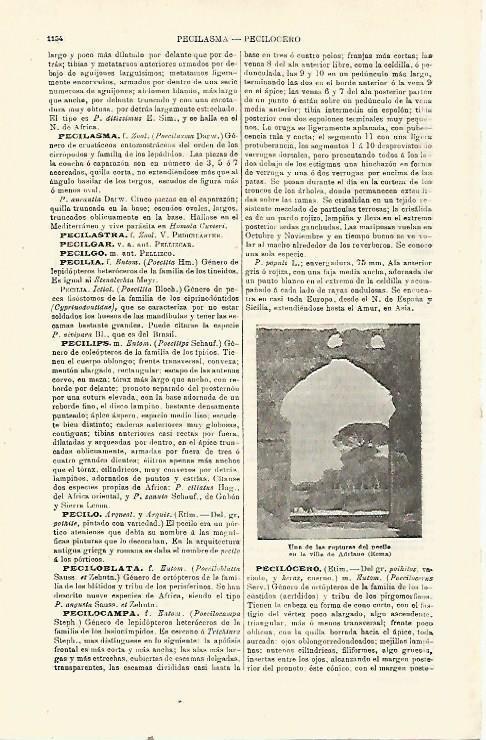LAMINA ESPASA 23889: Villa de Adriano en Roma