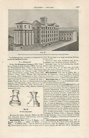 LAMINA ESPASA 24205: Fabrica de harina