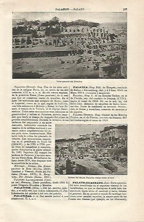 LAMINA ESPASA 24253: Vista del Palatino de Roma