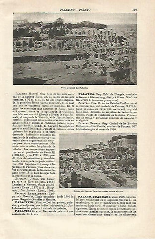 LAMINA ESPASA 24253: Vista del Palatino de Roma