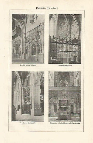 LAMINA ESPASA 24261: Catedral de Palencia