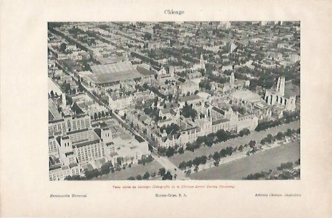 LAMINA ESPASA 25088: Vista aerea de Chicago