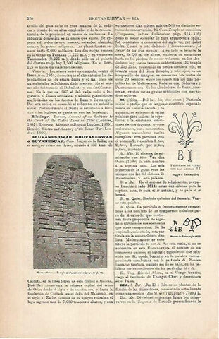LAMINA ESPASA 25230: Templo de Parashurameshwara en Bhuvaneshwar India