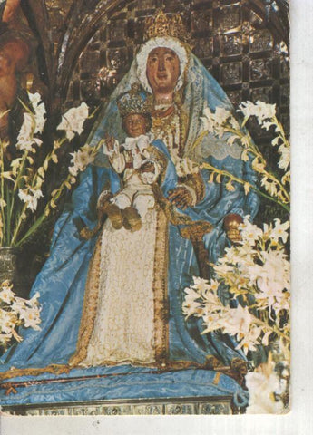 Postal 013361: Virgen Nuestra Señora de llos Reyes, Sevilla