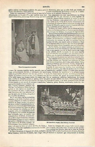 LAMINA ESPASA 16779: Campesinos de Canarias y El carro de la Virgen, trasera calles con alfombra flores en la Orotava