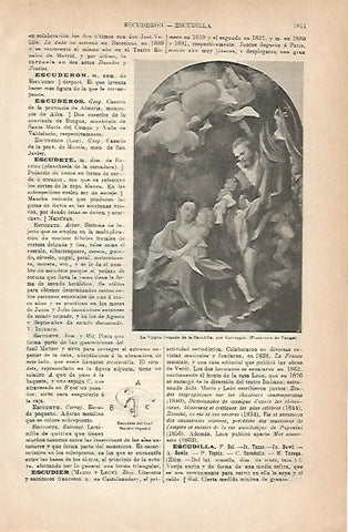 LAMINA ESPASA 18924: La Virgen de la Escudilla