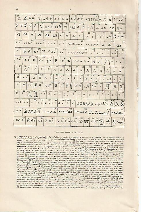LAMINA ESPASA 13085: Diversas formas de la A