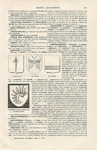 LAMINA ESPASA 13108: Emblemas con espadas
