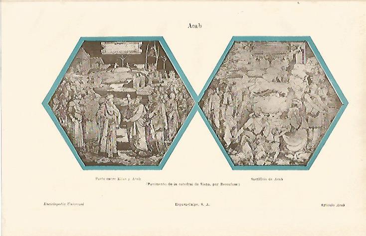 LAMINA ESPASA 13208: Pavimento de la Catedral de Siena Italia
