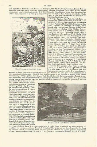 LAMINA ESPASA 13609: Dibujo y monumento a L.A. Richter