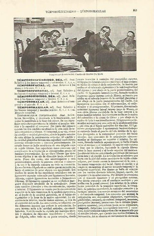 LAMINA ESPASA 13807: Temporeros de seis reales por Orestes da Molin